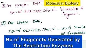 How many fragments will be generated if you digest a Linear&Circular DNA  with a Restriction Enzyme
