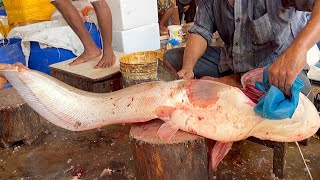 Amazing Giant Wallago Attu Boal Fish Cutting In Fish Market | Fish Cutting Skills