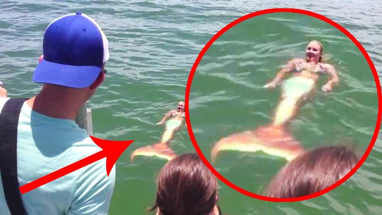 असली जलपरी को जिंदा पकड़ने की सच्ची घटनाएं 5 Most Real Life Mermaids Caught  On Tape - YouTube