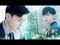 【鄧倫 Deng Lun | 柏海個人向 】花不語 自製 MV (一千零一夜Sweet Dreams)