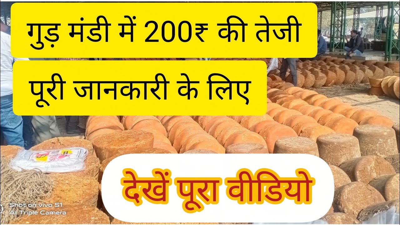 22/12/2025 गुड़ मंडी में तेज़ी🔥🔥