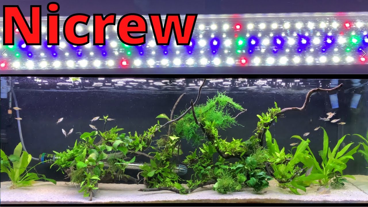 Nicrew Aquarium Light Review YouTube