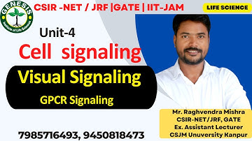 Visual Signaling | G-Protein Coupled Receptors Activating PDE | GPCR | Cellular communication | L-5