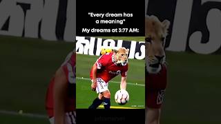 Download Lagu #halo MP3