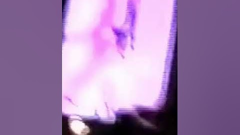 Michael Jackson - You are not alone LIVE VOCALS in Prague (September 7, 1996)