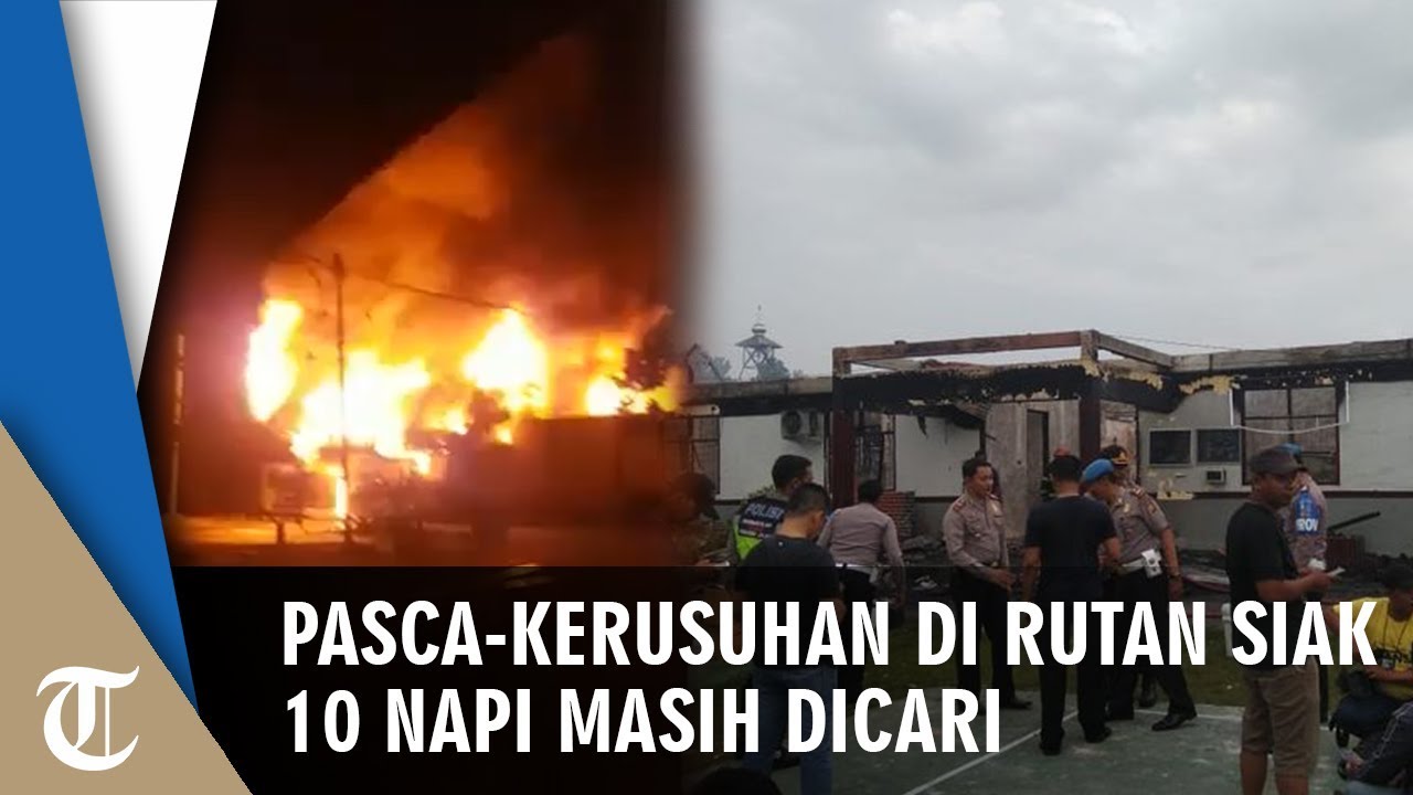 Pasca-Insiden Kerusuhan dan Kebakaran di Rutan Siak, 10 Tahanan Masih Dicari camera iphone 8 plus apk