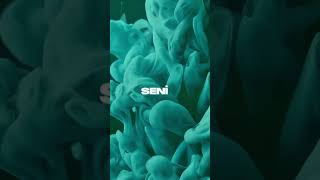 Velet - Roman Olur Yazsam Seni