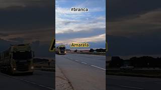 #rumo ao 800 escrito gratidão família YouTube.