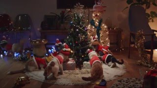 Monster Hunter - Happy Holidays 2015!