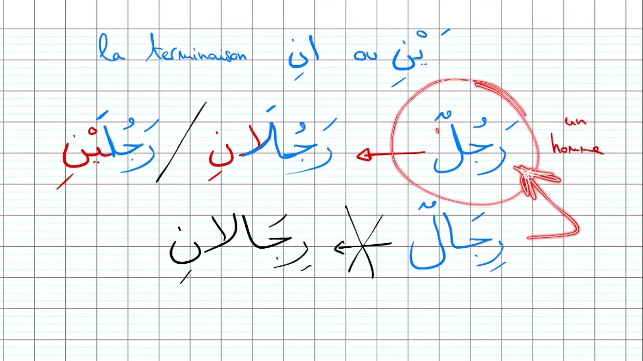 Cours d'arabe Niveau 2 Leçon 3.1: Le duel en arabe