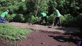 Demonstration Video: How to Build a Double Dug Garden Bed - The Thrive Institute