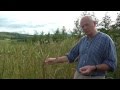 Andrew Whitley - Changing the food system with bread and agroforestry
