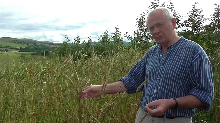 Andrew Whitley - Changing the food system with bre...