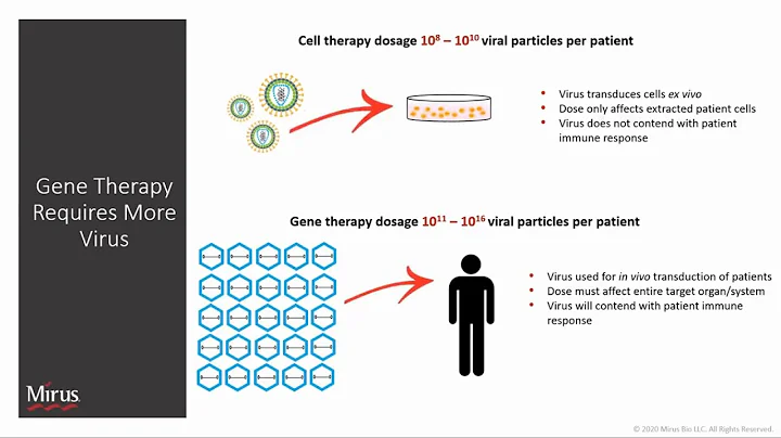 Accelerate Cell and Gene Therapy Development and Increase Manufacturing Capacity....