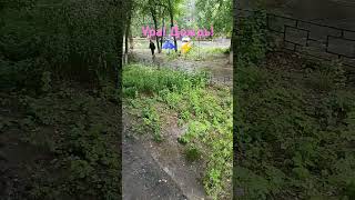 Дождик лей,лей! Воды не жалей!☔⚡☔⚡☔⚡☔⚡☔