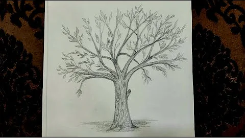 صور لرسم شجر Mp3