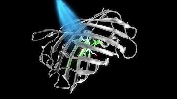 Protein molecules in cells function as miniature antennas