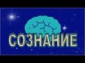 Зачем Сознание Человеку? Подсознание Человека. Часть #2.