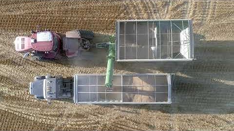 Loading the grain trailer