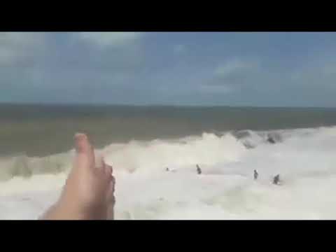 ზღვიდან გადარჩენის კადრები