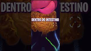 ESSE É O ROGUELIKE MAIS ESTRANHO QUE JA JOGUEI - Pathogenic