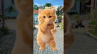 Kucing joget kicau mania#funny #shorts #comedy #trending #shortvideo