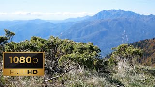 Mountain View part 2 - 1 Hour Video And Sounds of Grasshoppers for Relax and Meditation (FullHD)