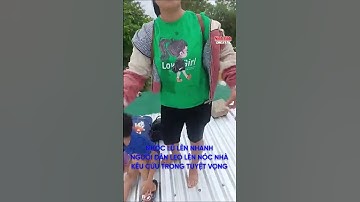 Nước lũ lên nhanh người dân leo lên nóc nhà kêu cứu trong tuyệt vọng #shorts