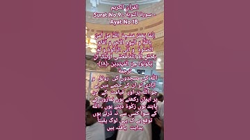 القرآن الكريمSurat No 9 : سورة التوبة - Ayat No 18 #allah #hidayat #quran #qurantranslation #bayan