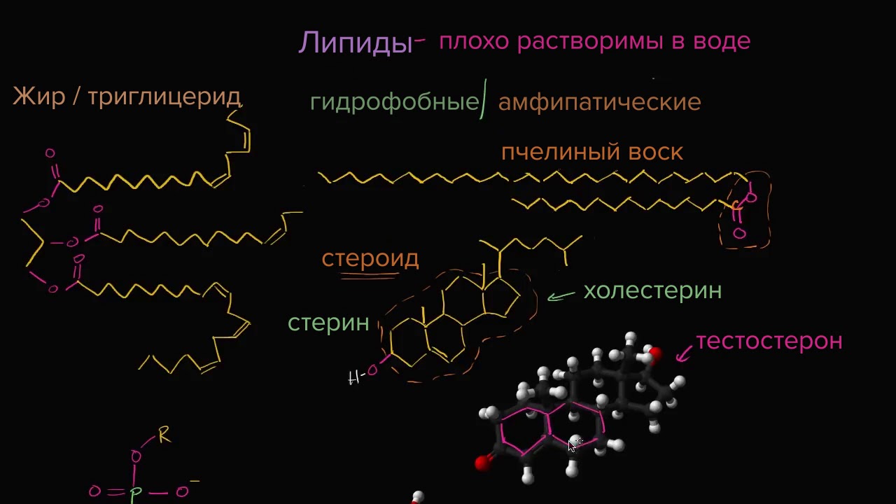 Растворимы в воде гидрофобны. Липиды хорошо растворимы в воде. Липиды биохимия. Амфифильные липиды. Липиды растворимы в.