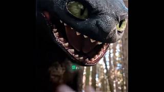 Night Furys Anger How To Train Your Dragon 2025