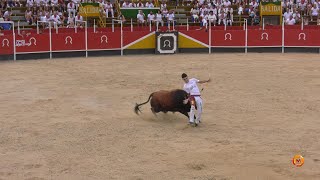 Tv Azagra - 08/09/2025 - Concurso de Recortadores.