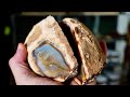 I cut 5 chunky brazilian agates open