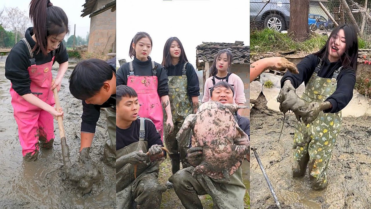 Bỏ 800 bao ao nhỏ, ai ngờ bắt được Vua ba ba