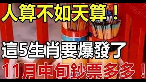 賜百萬紅包，偏財正財聚集 ! 11月中旬橫財大漲，鈔票多多，中旬財神賜百萬紅包，偏財正財聚集，橫財一旺再旺，橫財一旺再旺 這五生肖要爆發了 | 佛門因果#佛門因果 #佛語 #運勢#佛教 #生肖 - 天天要聞