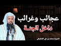عجائب وغرائب داخل الجنة أعظم الروايات كلام يريح القلب الشيخ محمد بن علي الشنقيطي 