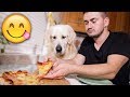 Eating PIZZA with My Dog - Dinner with a Golden Retriever!