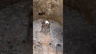 The ruins of the ancient world, the history of an ancient civilisation #history #civilization #piano