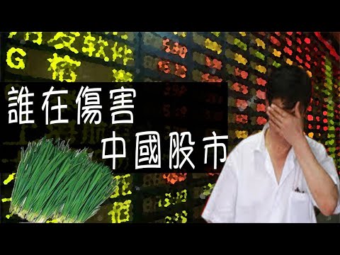 中美贸易战和中央救市，谁在真正伤害中国股市， 从梧桐树协议说起（历史上的今天20190517第349期）