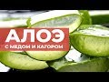 Лучшее народное средство от кашля. Алоэ с медом и кагором. Рецепт настойки