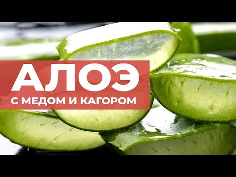 Как приготовить из алоэ лекарство от кашля