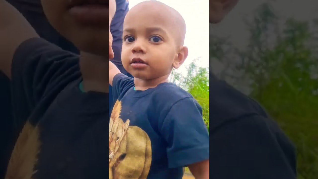 system hila re se forest mud hill run 