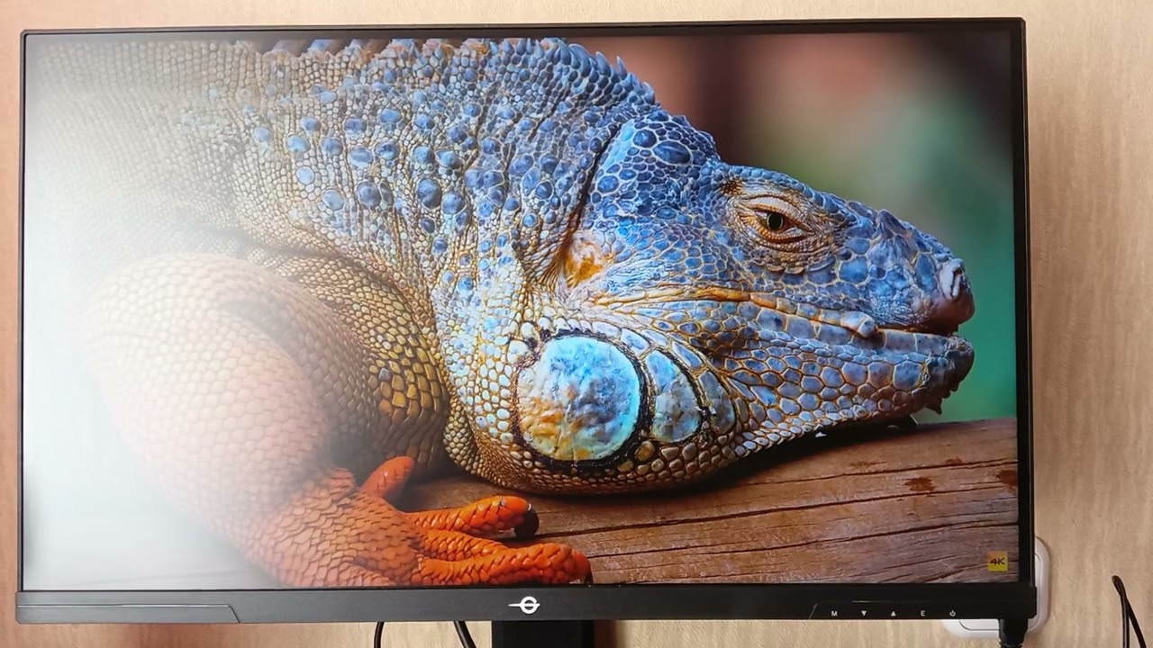 TITAN ARMY P245MS+ МИНИ СМОТР/ОБЗОР/ОТЧЕТ