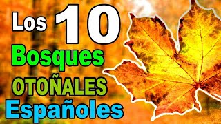 🍂 Los TIENES que VISITAR 🍁 Los 10 Bosques OTOÑALES mas Bonitos de España 2022 / HAYEDOS / Rutas