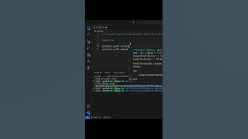 Absolute Path | Unit IV Practical | Programming and Problem Solving Lab (PPS) | FE SPPU