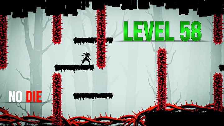 Ninja Arashi 2 Level 58