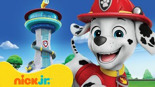 Paw Patrol Marshall's Most Daring Adventures! 🚒 10 Minute Compilation | Nick Jr.