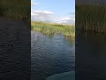 ружье бекас 12 м . помпа на охоте. 😲