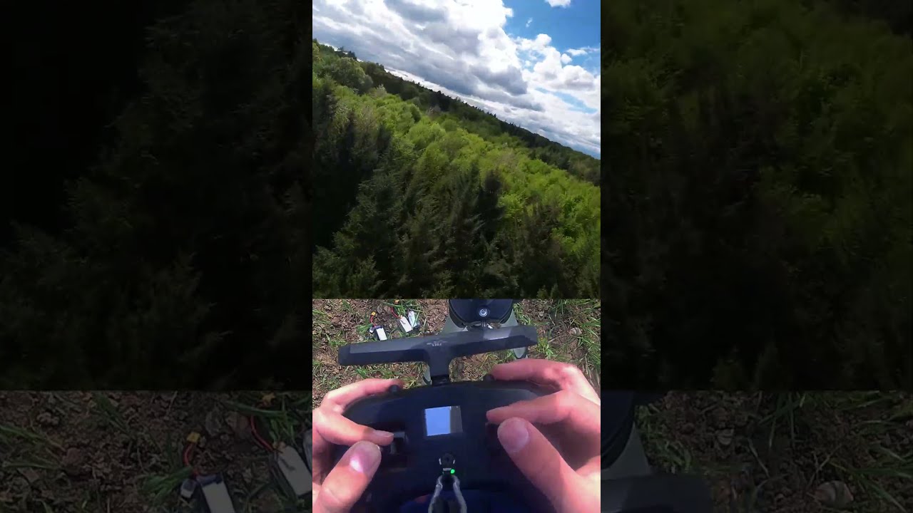FPV Forest Freestyle 