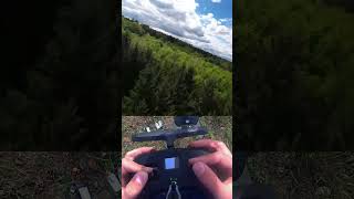 Fpv Forest Freestyle